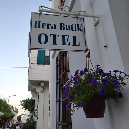 Hera (adults Only) 4*